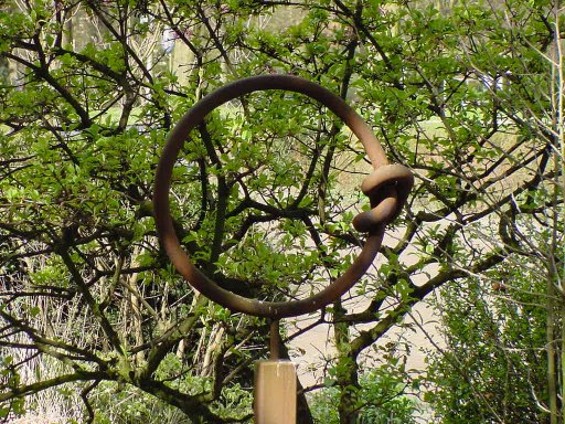 Knoop